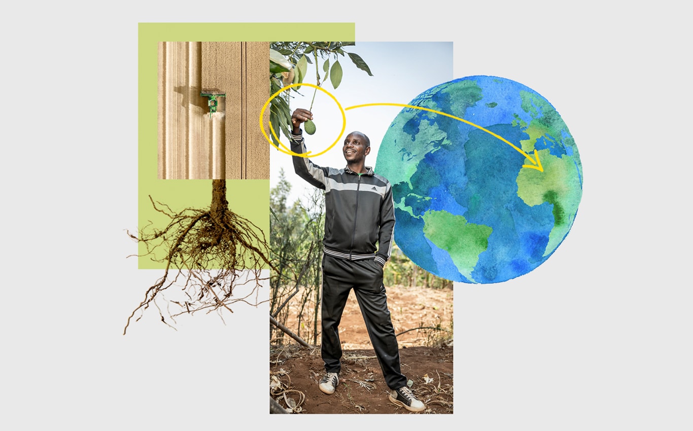 Vista aerea di una trincia John Deere in un campo, una persona che afferra un avocado appeso a un albero e una freccia che indica l'Africa su una illustrazione della Terra.