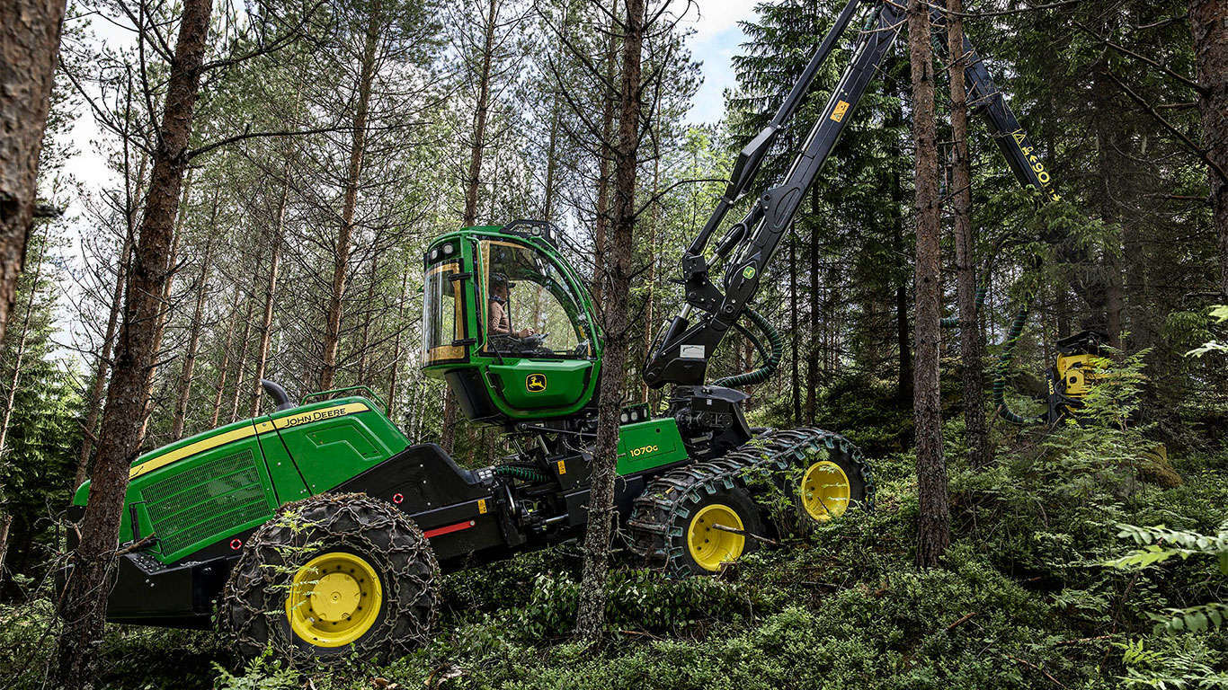 1070G nella foresta